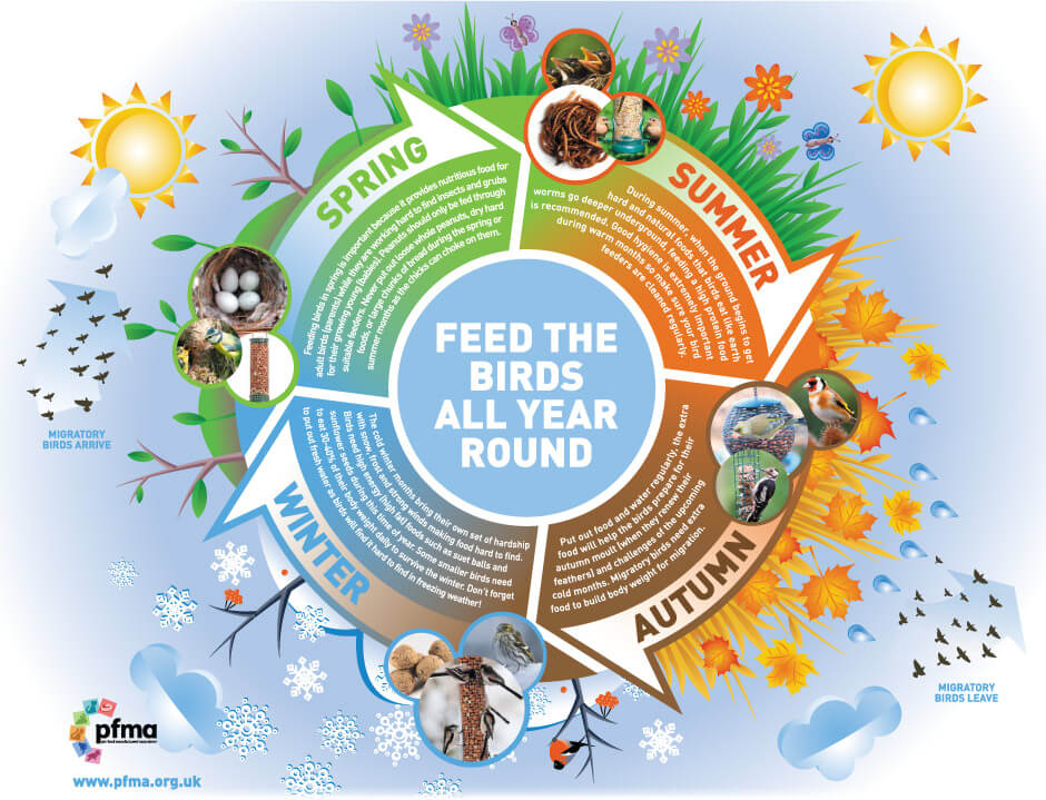 Free Seasonal Wild Bird Feeding Guide