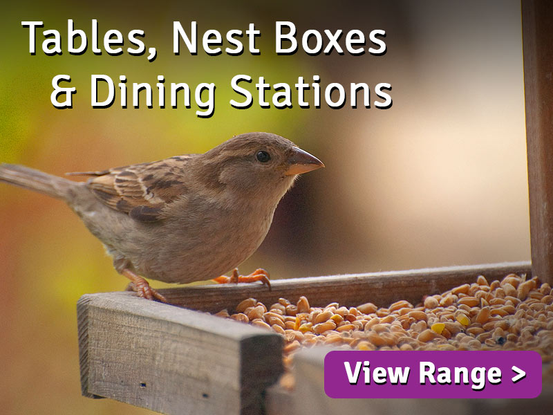 Wild Bird Tables Nest Boxes