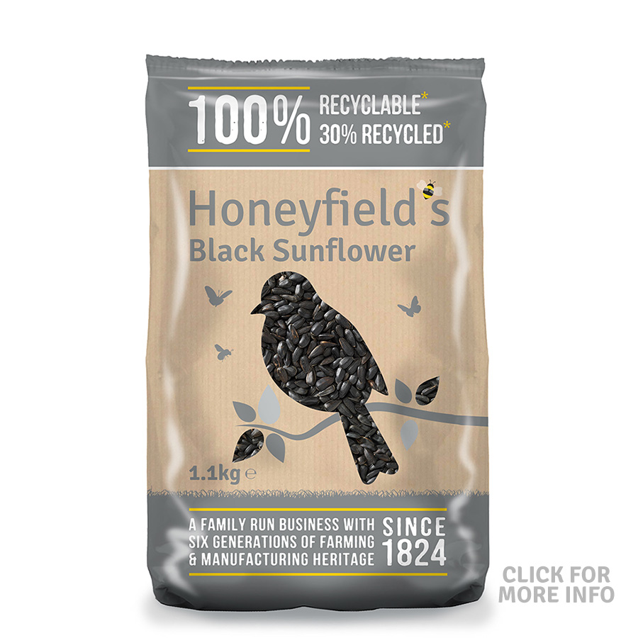 Honeyfield's Black Sunflowers