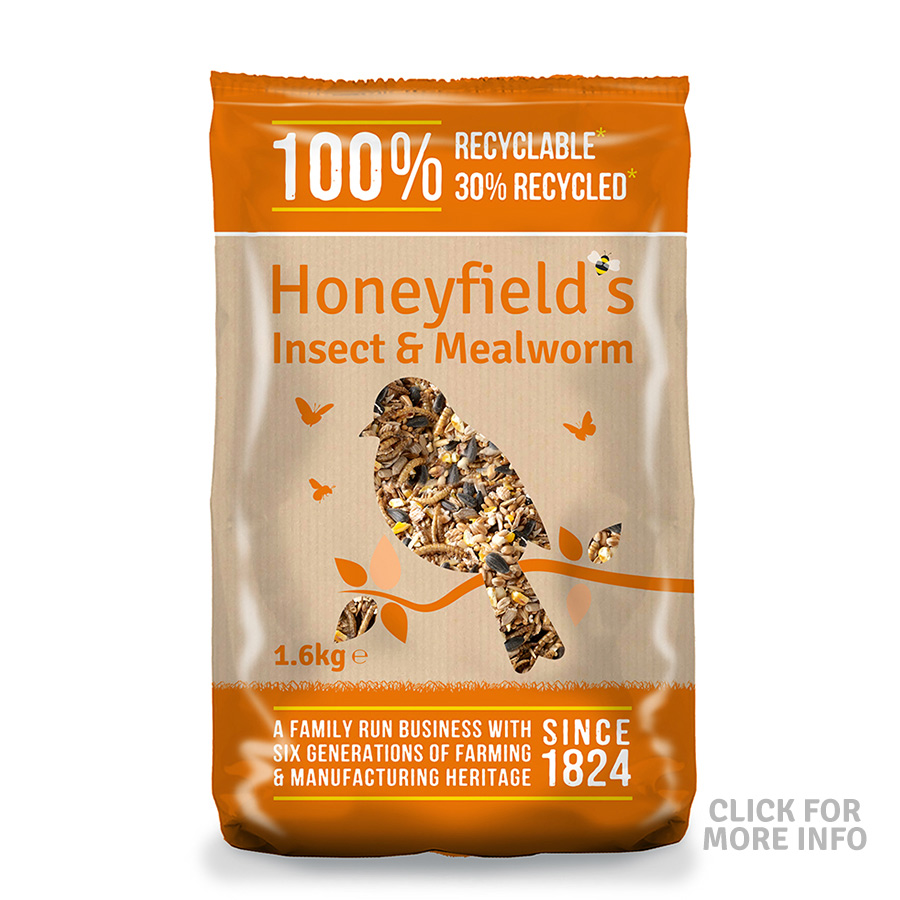 Honeyfield's Insect Mealworm Feast